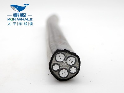 鄭州電纜廠(chǎng)家淺談wdzc-yjlv電纜