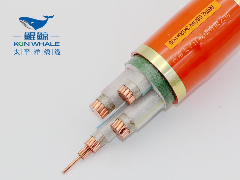 電線電纜廠家淺談什么叫BTTRZ電纜YTTW電纜型號是什么？